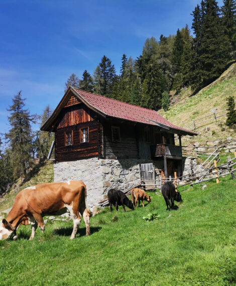 Troebacheralm-Huette_Startseite_NEU1